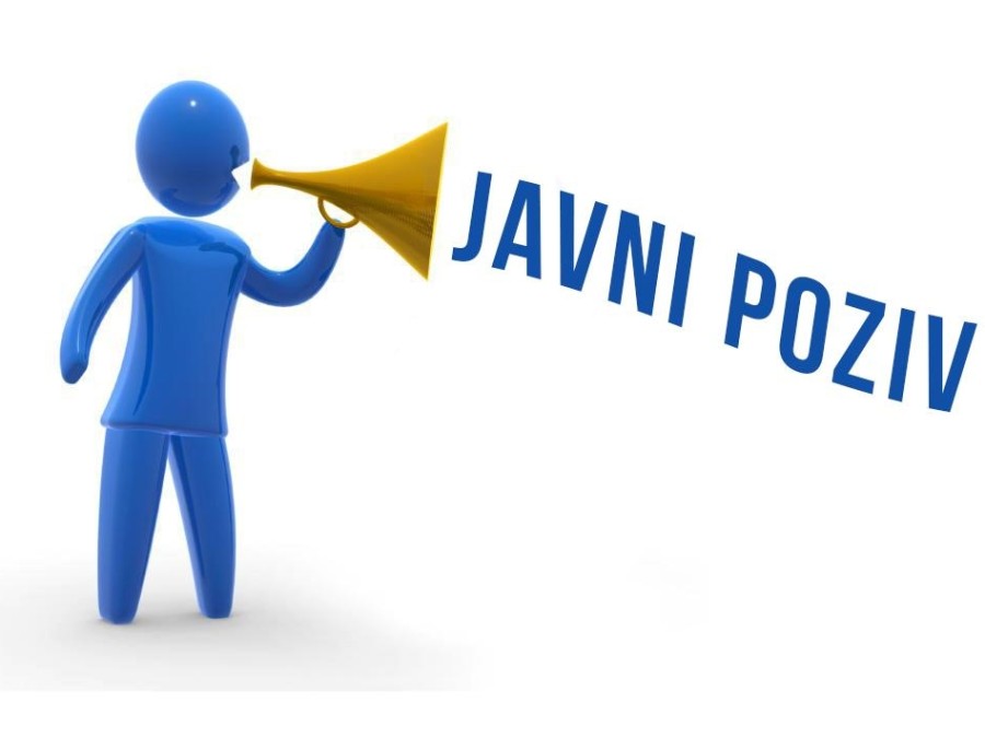 Dopunski Javni poziv za financiranje programa udruga u 2024.