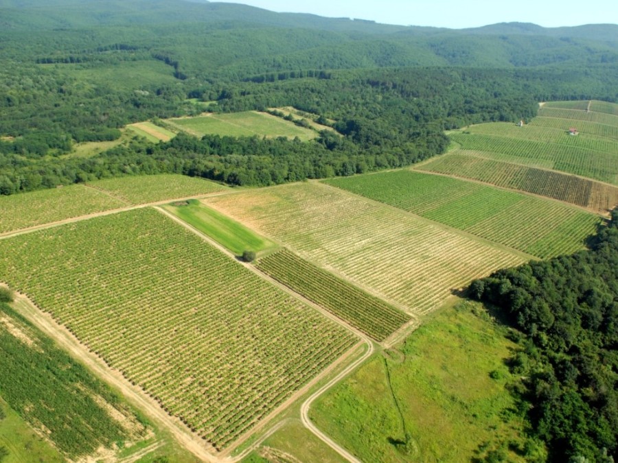 Javni natječaj za davanje u zakup zemljišta u vlasništu Općine 
