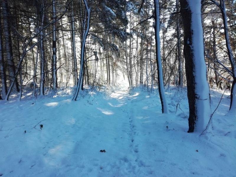 Prvi planinarski izlet iz Kaptola