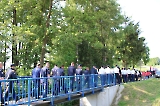 DVD Alilovci-8