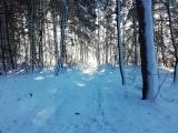 Izlet na Papuk-13