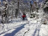 Izlet na Papuk-17