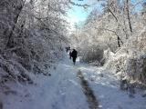 Izlet na Papuk-9
