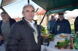 Vincelovo Kaptol2018-11