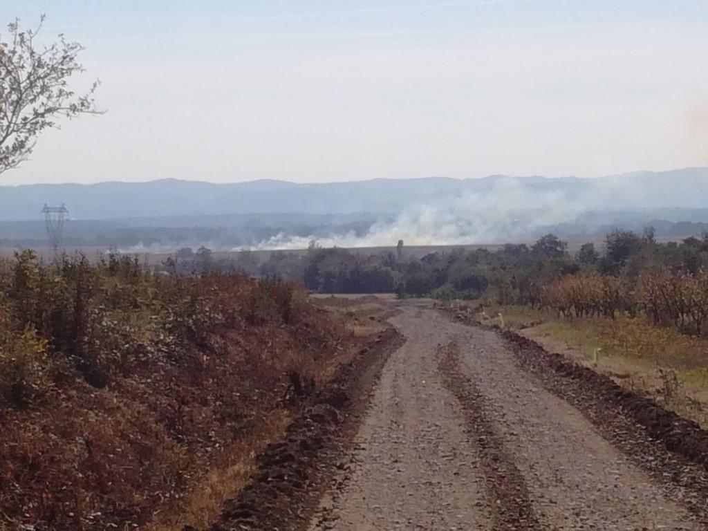 Sanacija nerazvrstane ceste Bešinci – Novi Bešinci