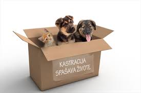 Sufinanciranje kastracije i sterilizacije pasa i mačaka